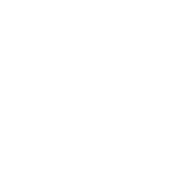 Logotipo The Stage of Texas